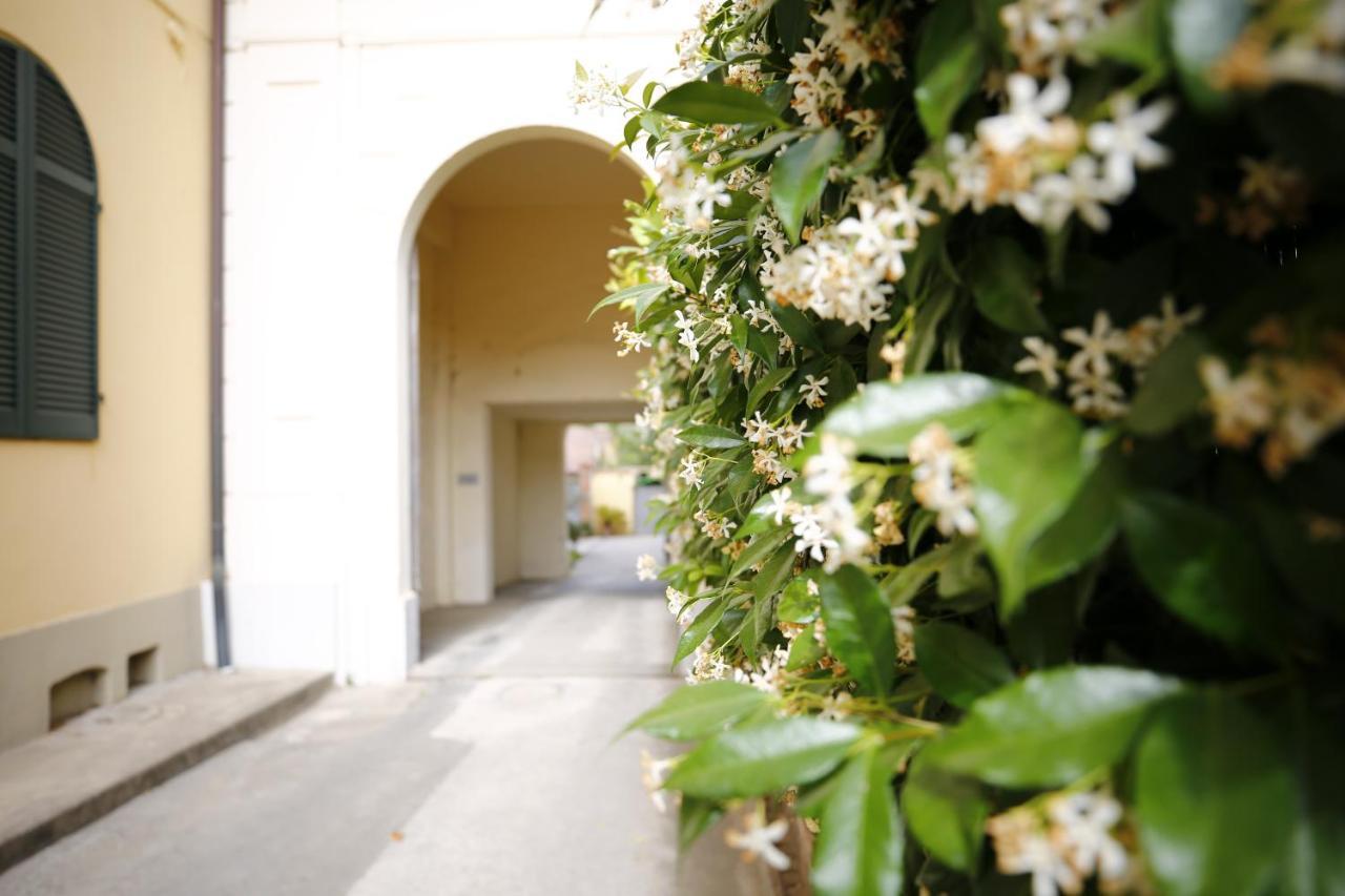 Lungarno Buozzi 7 Apartments Pisa Exterior photo